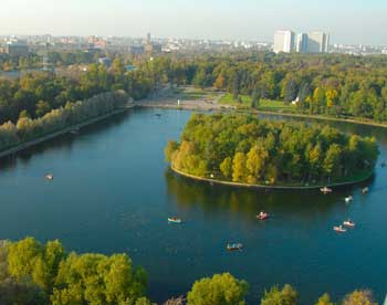 Москвичи попытались защитить Измайловский парк 