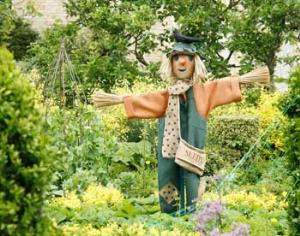 В Хабаровске пройдет фестиваль цветов и ландшафтного дизайна