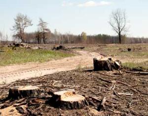 Спасен будущий национальный парк <strong>Онежское поморье</strong>