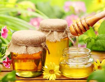 В Коломенском работает выставка мёда 