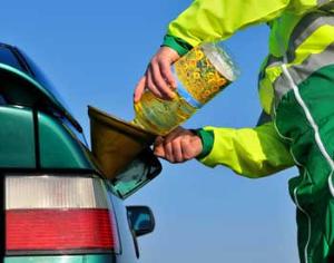 В России можно купить топливо из лузги