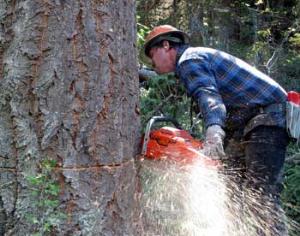 Лучший дровосек мира — россиянин