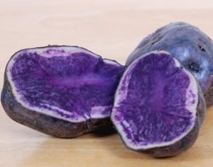 На Урале вывели фиолетовый картофель