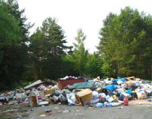 Акция <strong>Блогер против мусора</strong> проходит в субботу по всей России