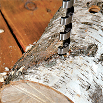 Выращивание грибов на бревнах. Шаг 1