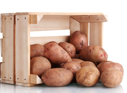 Лучшие сорта картофеля для еды: посадка и уход