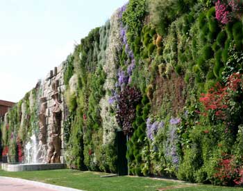 Огромный вертикальный сад в Италии побил все рекорды 