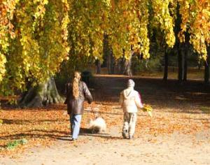 Измайловский парк может пострадать от автомагистрали