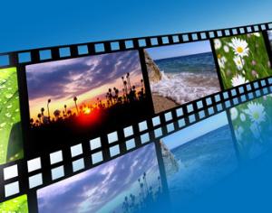 В Парке Горького пройдёт фотовыставка на световых панелях, посвящённая природе