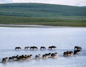 В Забайкалье создают новый природный парк