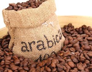 Кофейные деревья могут исчезнуть