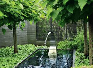 Образ сада: минималистичный сад