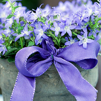 Что подарить: подарки на Новый год и Рождество