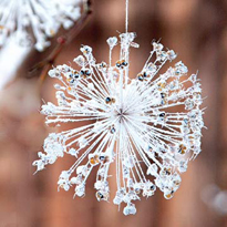 Новый год за городом