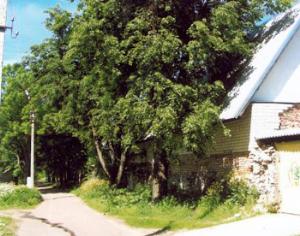 В Пскове восстановят Осторовок пивовара и снесут финский парк