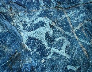 Алтайские петроглифы взяли под охрану