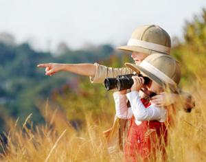 На месте воронежского зоопарка появится сафари-парк