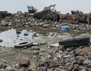 Пчелиный заповедник оштрафован за мусор на территории