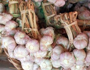 Огромные деньги можно заработать на нелегальном чесноке