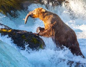 В России создан национальный парк Берингия