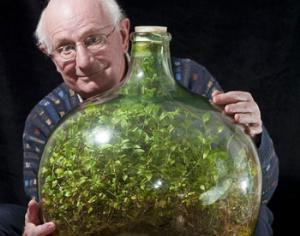 В Великобритании растение 40 лет растет без полива