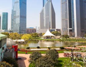 Ходынское поле превратят в парк, но не полностью