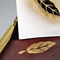 Хьюмидор своими руками. Шаг 7