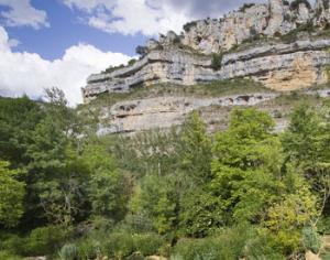 Парк пермского периода может стать объектом всемирного наследия ЮНЕСКО