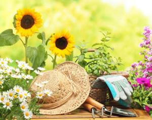 На ВВЦ состоится масштабная выставка по даче и саду