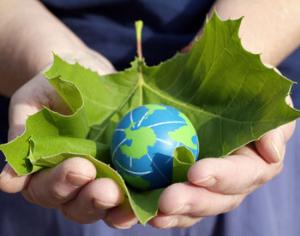 Час земли в субботу посвятят российским лесам