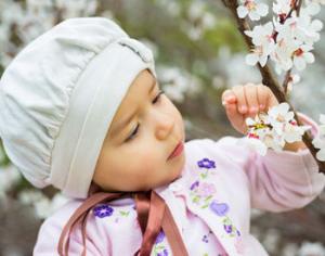 В итальянском доме не может быть сына без дерева