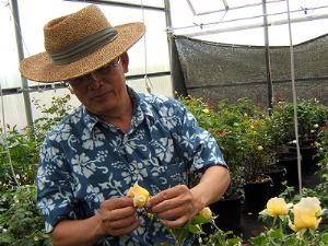 Журнал Садовник теперь читают китайцы