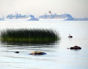 Балтийское море могут превратить в заповедник