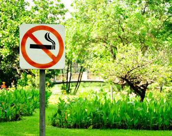 Парки запрещают курение 