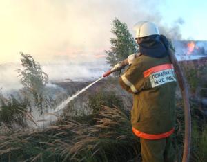 По лесным пожарам будут лидировать Сибирь и Дальний Восток