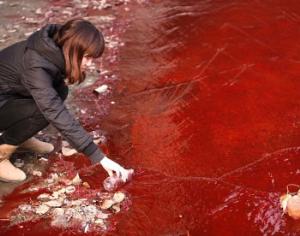 Озеро в Самаре стало ярко-красным