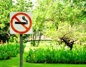 Парки запрещают курение