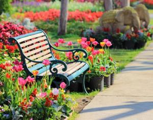 Посетители городского парка смогут сажать в нем растения