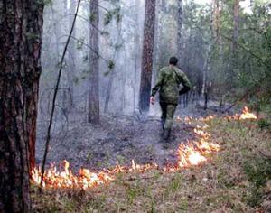 От пожара пострадал Ильменский заповедник