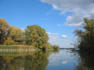 Прихоперье уничтожат ради цветных металлов