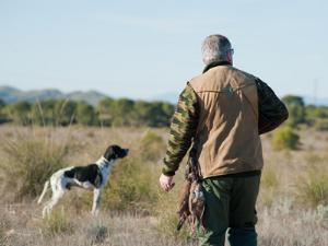 Отравителей собак будут сажать на три года