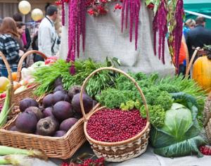 В Парке Горького пройдёт экологичная Зелёная неделя