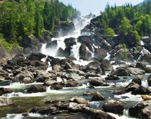 Алтайский заповедник приглашает ловких волонтёров для работы на водопаде