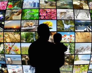 Николай Дроздов запускает в России первый эко-телеканал