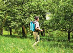 Инструменты садовода: опрыскиватель