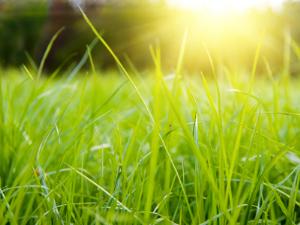 Летнее время признано самым законным