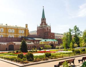 Из Александровского сада пропадают элитные сорта цветов