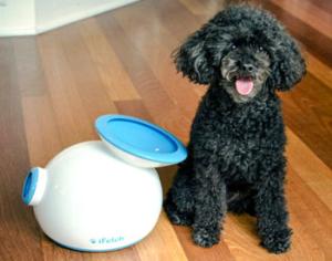 Одинокие собаки могут играть в автоматический мячик