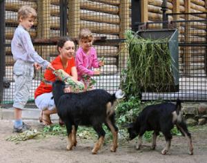 Под Новгородом появится частный зоопарк Воронова слобода