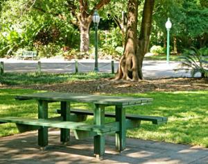 Волонтёры создают городской парк в Ногинске